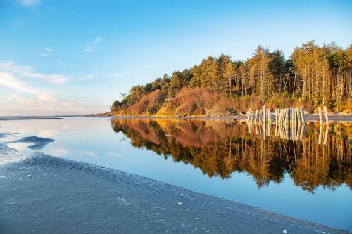 a view of a lake with trees in the background at Hi-Tide Resort in Moclips
