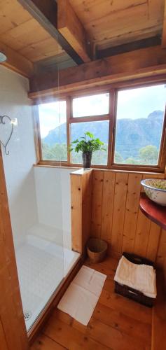 a bathroom with a shower with a plant in it at Cabin in da Woods in Cape Town