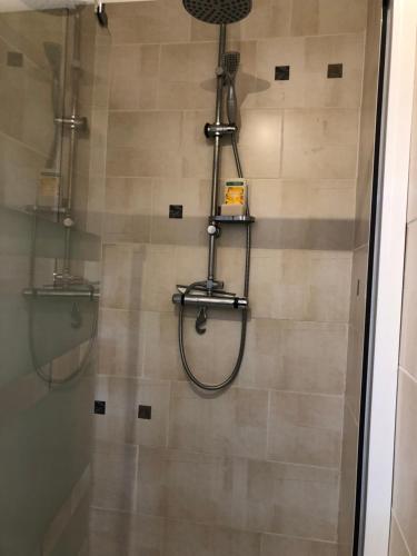 ein Bad mit Dusche und Duschvorhang in der Unterkunft Grande maison familiale piscine et jardin in Gujan-Mestras