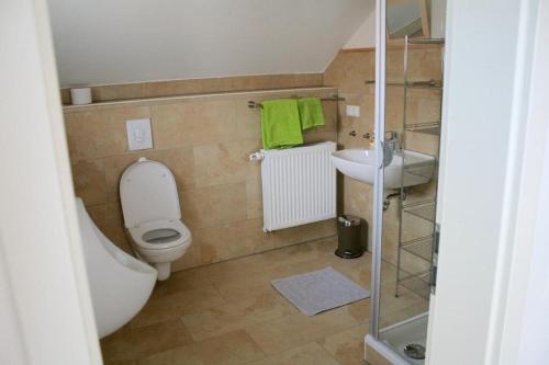 a small bathroom with a toilet and a sink at Talblickhof in Waldmünchen