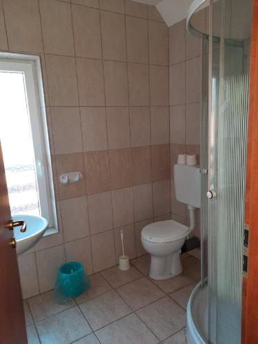 a bathroom with a toilet and a sink and a shower at Horgász-Lak vendégház in Nagybaracska