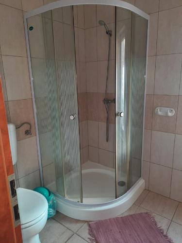 a shower stall in a bathroom with a toilet at Horgász-Lak vendégház in Nagybaracska
