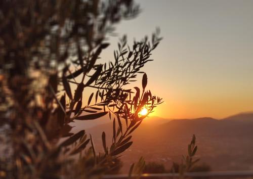 Φυσικό τοπίο κοντά σε αυτό το ξενοδοχείο