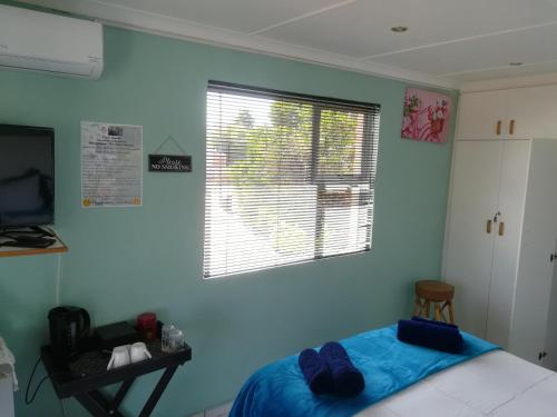 a bedroom with a bed and a window at Mountainia Inn in Worcester