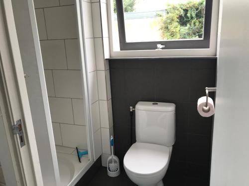 een kleine badkamer met een toilet en een raam bij gezellig gastenverblijf in het centrum in Burgh Haamstede