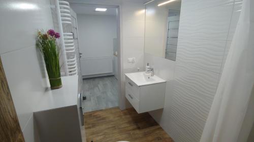 Baño blanco con lavabo y espejo en Apartament Arkadia Storczyk, en Augustów