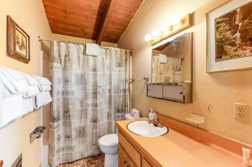 uma casa de banho com um lavatório e um WC em Allen Edgewater Retreat em Groveland