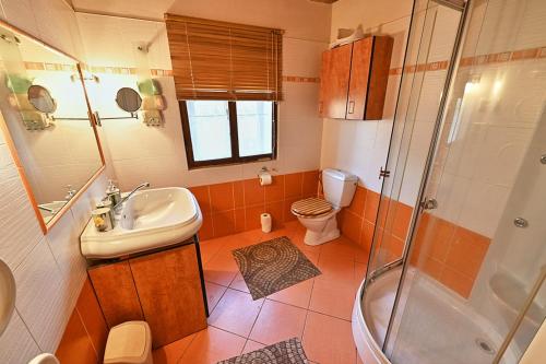 a bathroom with a sink and a shower and a toilet at Chalupa u kostela in Chřibská