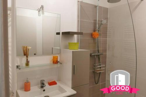 a bathroom with a shower and a sink and a mirror at Le Micy - joli T2 + Parking in Orléans