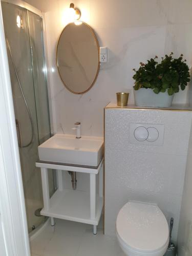 a bathroom with a sink and a toilet and a mirror at Rooms in Primošten