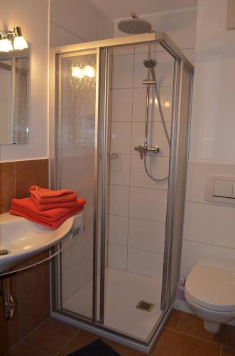 een badkamer met een douche, een wastafel en een toilet bij Haus Regenbogen in Pertisau