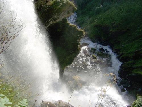 Gambar di galeri bagi Westerås Gard di Geiranger