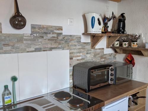 a kitchen with a toaster oven and a microwave at Casa Acazia - Studio in Breil/Brigels