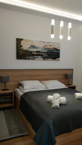 - une chambre avec un grand lit et 2 oreillers dans l'établissement Apartament SunPark, à Przemyśl
