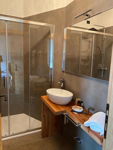 a bathroom with a sink and a shower at Fra Rose e Mughi in Domegge di Cadore