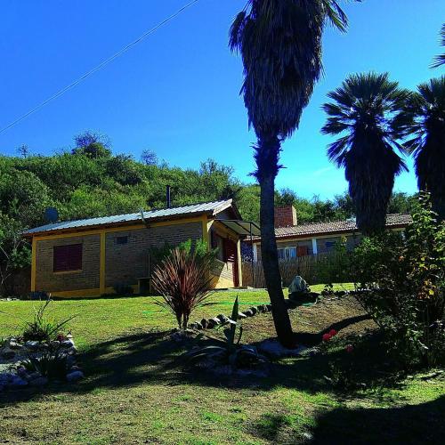 a house with a palm tree in front of a yard at Palmares al cerro in Capilla del Monte