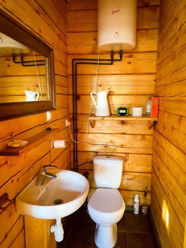 a bathroom with a toilet and a sink at Sosnowy domek w rezerwacie nad Narwią in Bokiny