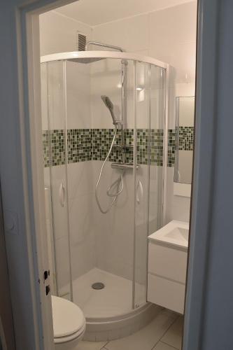 une salle de bain avec une douche avec des toilettes et un lavabo dans l'établissement Studio Front de Mer, à Saint-Jean-de-Monts