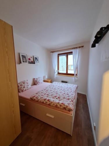 um quarto com uma cama e uma janela em Rokytnice-apartments em Rokytnice nad Jizerou
