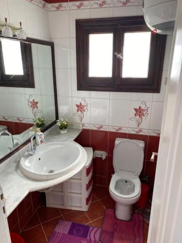 a bathroom with a sink and a toilet at Delta Sharm Apartment in Sharm El Sheikh