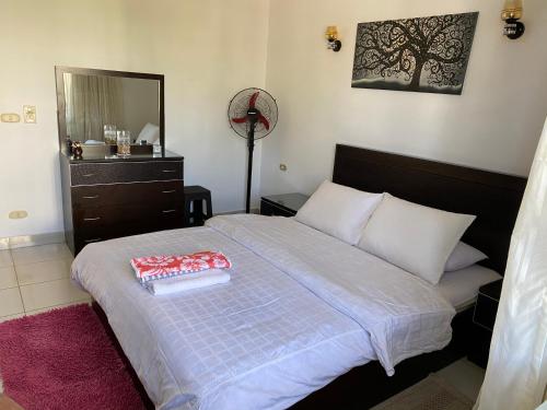 a bedroom with a bed with a dresser and a mirror at Delta Sharm Apartment in Sharm El Sheikh