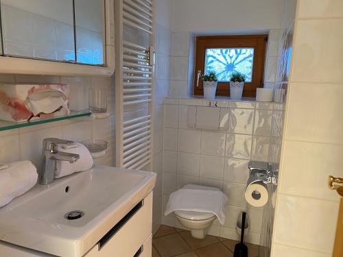 ein Bad mit einem Waschbecken, einem WC und einem Fenster in der Unterkunft Ferienwohnung Magdalena - ruhig, zentral, schöne Sonnenterrasse in Schliersee