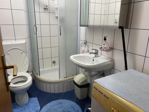 małą łazienkę z toaletą i umywalką w obiekcie Apartment Ivek w mieście Mandre
