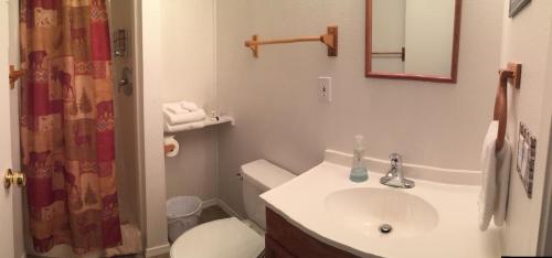 ein Badezimmer mit einem Waschbecken, einem WC und einem Spiegel in der Unterkunft House on the Rock B&B in Valdez