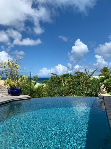 a swimming pool with a view of the ocean at Villa Colibri in Friar's Bay