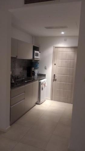 a kitchen with a sink and a door to a room at Nordelta Condominio Loft Bahia Grande Monoambiente de 40 m2 in Benavídez