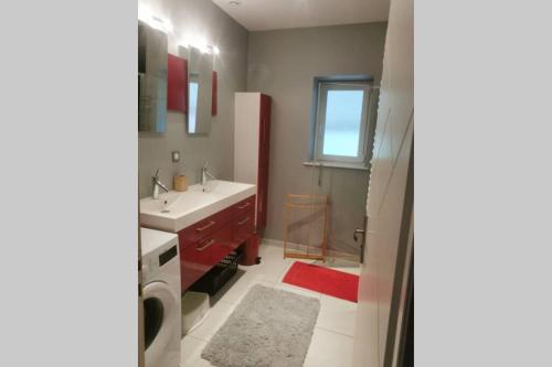 ein Badezimmer mit einem Waschbecken und einer Waschmaschine in der Unterkunft Au bord de l'eau in Charentenay