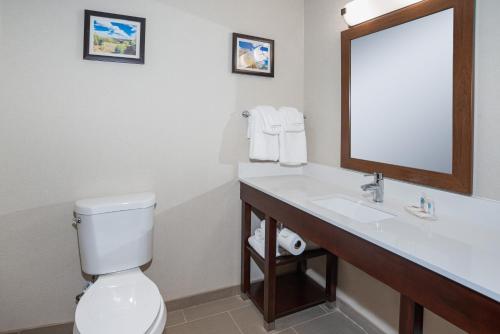 ein Badezimmer mit einem WC, einem Waschbecken und einem Spiegel in der Unterkunft Comfort Inn Naugatuck-Shelton, CT in Naugatuck