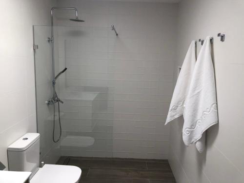 a bathroom with a shower and a toilet at SEA FRONT Apartamento frente al mar in Playa Honda