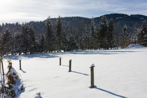 a snow covered field with poles in the snow at KaiserMoments in Going