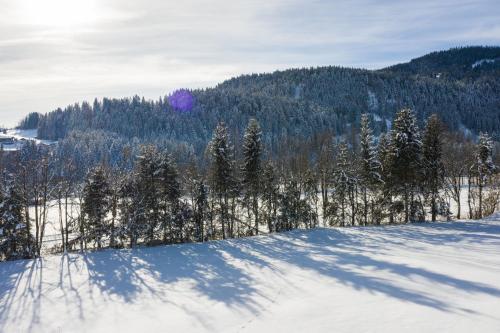 a snow covered field with trees and a purple frisbee at KaiserMoments in Going