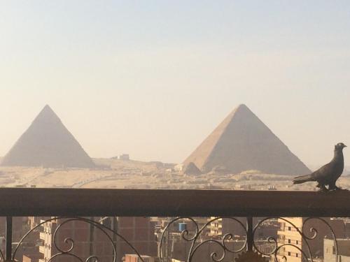 The dating chat in El Giza