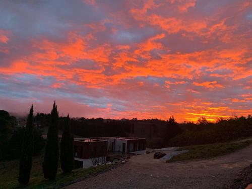 a sunset in a cloudy sky with trees and a building at Le 7 in Vieille-Toulouse