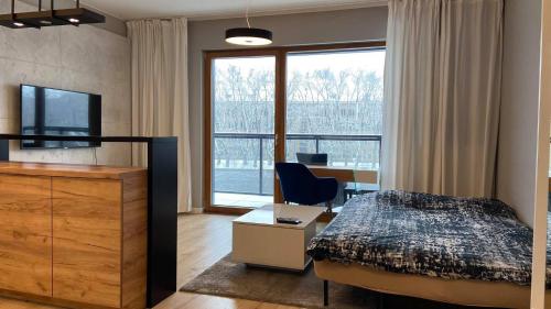 Televízia a/alebo spoločenská miestnosť v ubytovaní Apartament studio z widokiem na Odrę Bulwary Książęce
