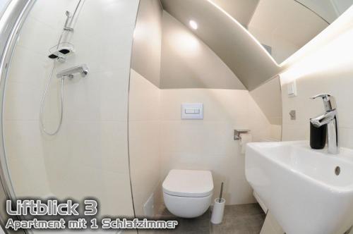 a bathroom with a shower and a toilet and a sink at Ferienwohnungen "Liftblick 2 oder 3" im Kurort Altenberg in Kurort Altenberg