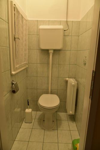 a small bathroom with a toilet and a window at Primula Apartment in Blejska Dobrava