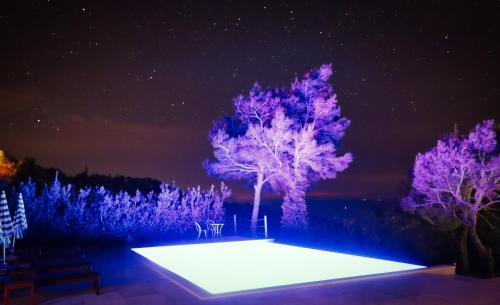 a stage with purple lights in front of trees at Villa Yanko, large pool stunning sea view in Tučepi