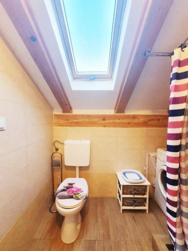 a bathroom with a toilet and a skylight at Apartmani Senka in Ika