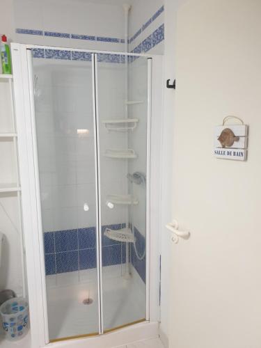 une douche avec une porte vitrée dans une salle de bain dans l'établissement LES AMANDINES, au Cap d'Agde