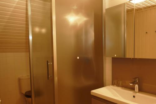 La salle de bains est pourvue d'une douche, d'un lavabo et de toilettes. dans l'établissement La Pommeraie - Le Coin Ardenne, à Sainte-Ode