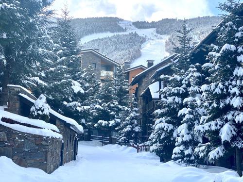 Afbeelding uit fotogalerij van Apartamento Rustic Chic de Luxe 21A HUT-7766 in El Tarter