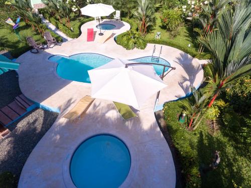 an overhead view of a swimming pool with an umbrella at New Caribe Point in Cahuita