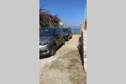 Φωτογραφία από το άλμπουμ του Il Giglio di mare σε San Saba