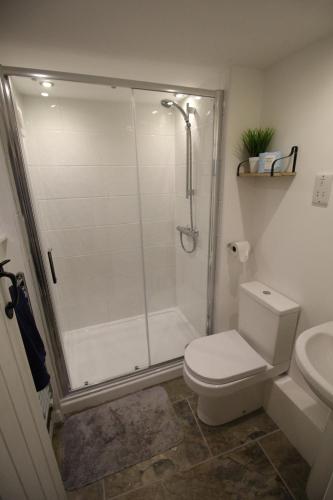 La salle de bains est pourvue d'une douche, de toilettes et d'un lavabo. dans l'établissement Cosy Crickhowell Cottage, à Crickhowell