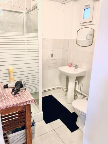 une salle de bain avec toilettes et lavabo dans l'établissement MAISON 2 CHAMBRES - LILLE - 4 PERS - 300m METRO, à Lille