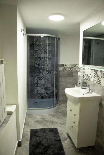 a bathroom with a shower and a sink and a toilet at La Podul Cetatii in Făgăraş